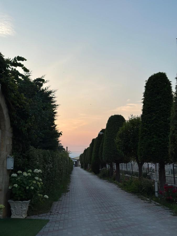 Rritja E Koranit Tushemisht Exterior foto